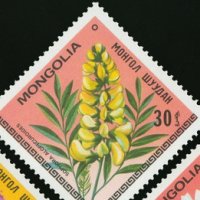  Сет 7 марки Цветята на Монголия,Монголия, 1979, ново, минт, снимка 5 - Филателия - 27982678