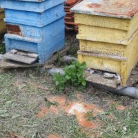 Пчелни кошери, снимка 3 - За пчели - 36628613