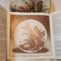 Австрийска порцеланова декоративна чиния сова, снимка 7 - Колекции - 37692757