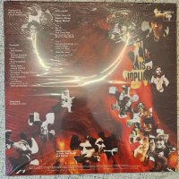 Janis Joplin ‎– Janis - The Classic 4x LP Collection, снимка 11 - Грамофонни плочи - 39985491