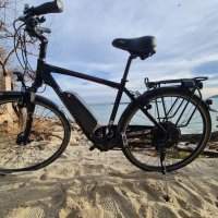 Електрически велосипед Bionx, снимка 3 - Велосипеди - 43299358