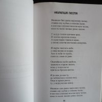 Замке Ненад Каменович стихосбирка Сърбия Пирот стихове автограф, снимка 3 - Художествена литература - 43099857