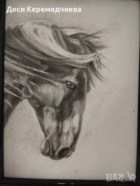 графика "кон", снимка 1