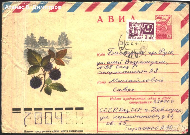 Пътувал плик Флора Къпина Гора Дървета 1983 от СССР, снимка 1