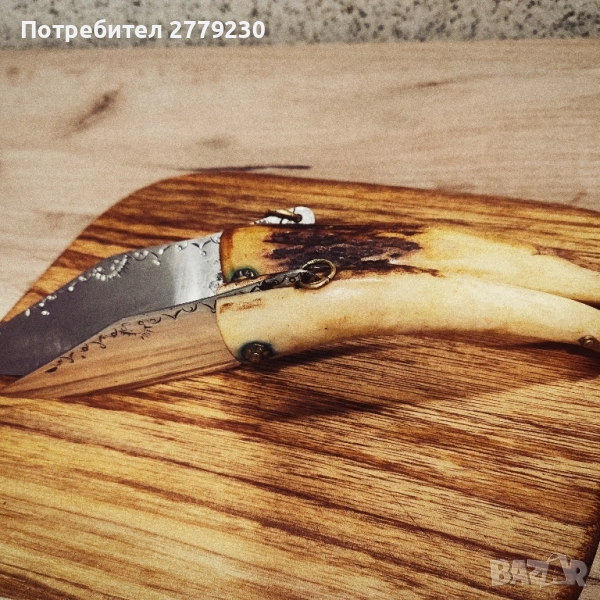 Стари сойки на Майстор Т.Димитров, снимка 1