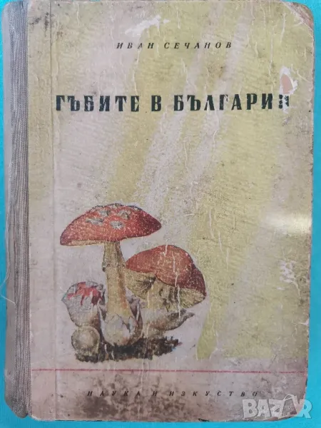 "Гъбите в България" - Иван Сечанов, снимка 1