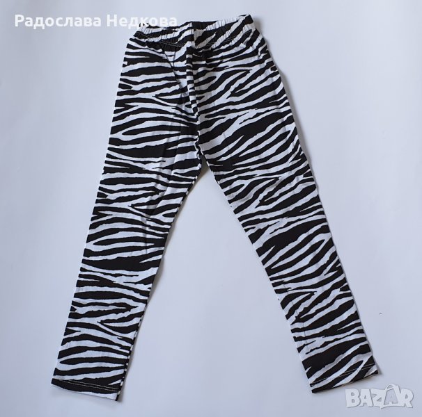 Клинче Зебра - 98,110 см. , снимка 1