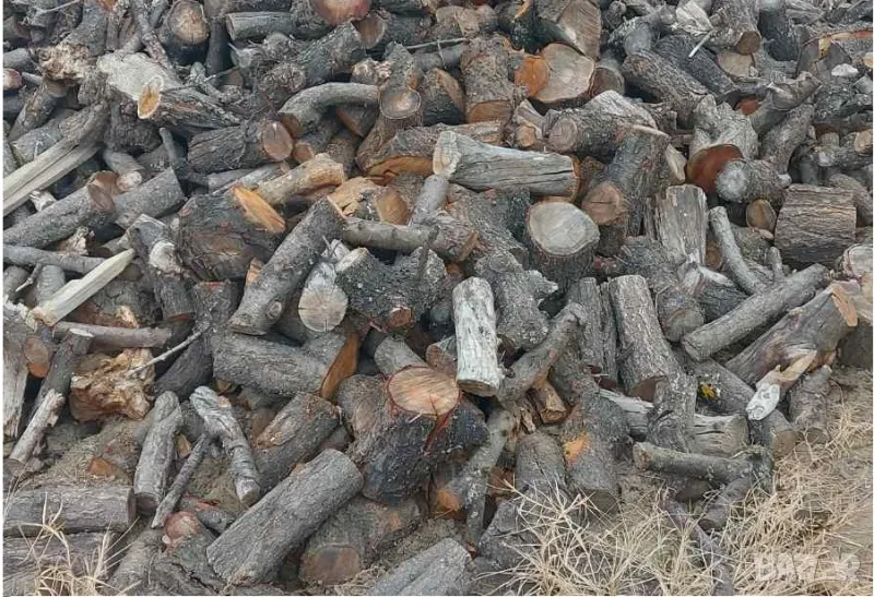 Дърва за огрев, снимка 1