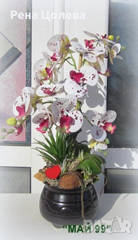 Орхидея в керамична кашпа, снимка 4 - Романтични подаръци - 53073543
