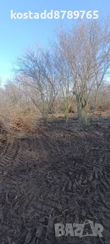Парцел в село Звездица, снимка 4 - Парцели - 49125193