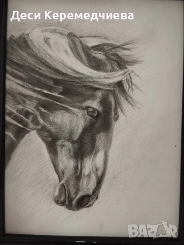 графика "кон"