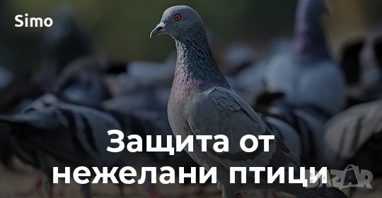 шипове против птици ,защита от гълъби-Силистра