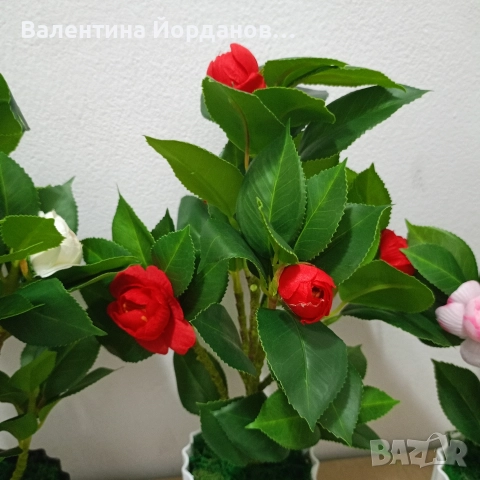 реалистични изкуствени камелии , снимка 3 - Декорация за дома - 52892713