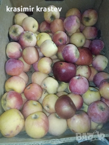 Ябълки домашни, снимка 3 - Домашни продукти - 52682035