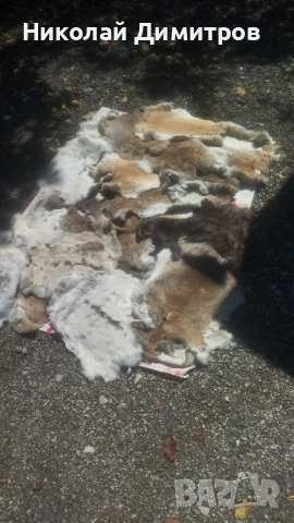 Заешки кожи обработени в кожарска за фабрика Велур . При покупка над 5 кожи безплатна доставка., снимка 2 - Други - 51549805