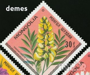  Сет 7 марки Цветята на Монголия,Монголия, 1979, ново, минт, снимка 5 - Филателия - 27982678