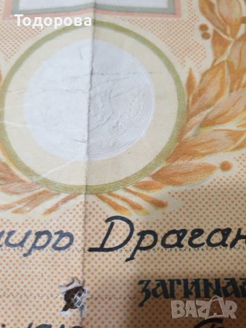 Свидетелство за народна признателност-Бунар Хисар, снимка 4 - Антикварни и старинни предмети - 39606586