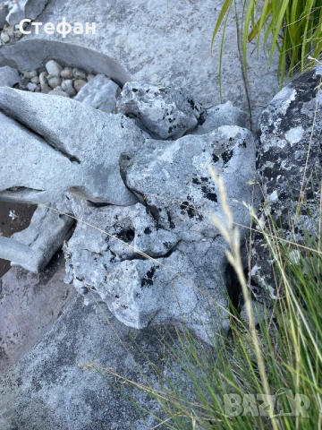 Камъни за алпинеум, снимка 2 - Градински мебели, декорация  - 51324424
