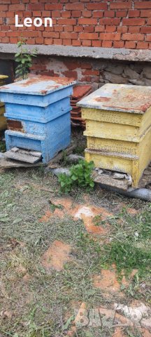 Пчелни кошери, снимка 3 - За пчели - 36628613