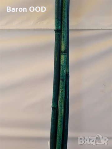 Зелен бамбук ф20-22 мм за колчета за разсад, снимка 3 - Други стоки за дома - 37946573