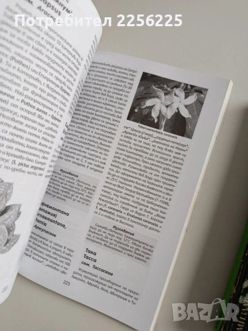 ЛОТ Стайни растения, снимка 9 - Специализирана литература - 53564703