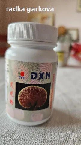 Гъба рейши на прах