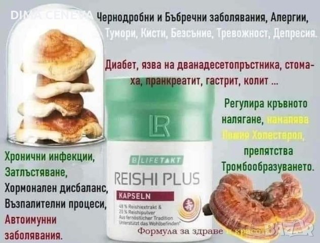 Гъба Рейши . Чудото, против ракови клетки!, снимка 4 - Други услуги - 44031885