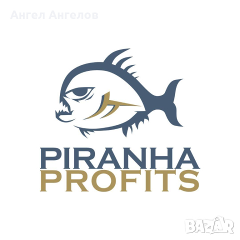 Видео курс Piranha profits Price Action Manipulation Course Level 1, снимка 2 - Други курсове - 44928732