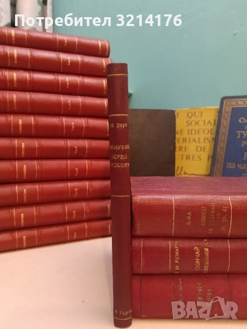 Огнени гори - Емилио Салгари (луксозна изработка), снимка 4 - Художествена литература - 52692213