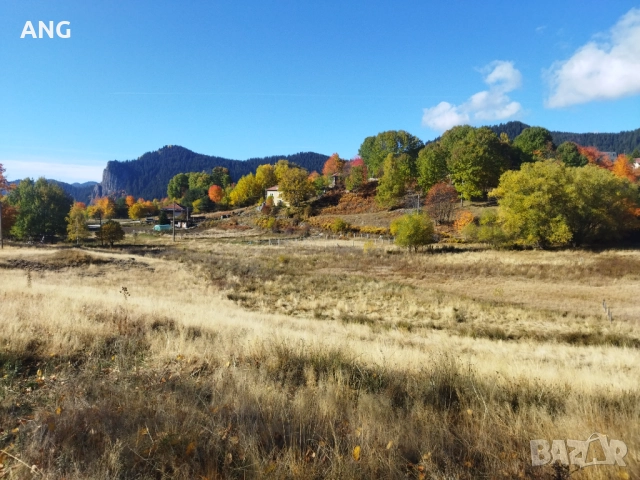 Продава парцел в Смолянски езера , снимка 14 - Парцели - 52178672