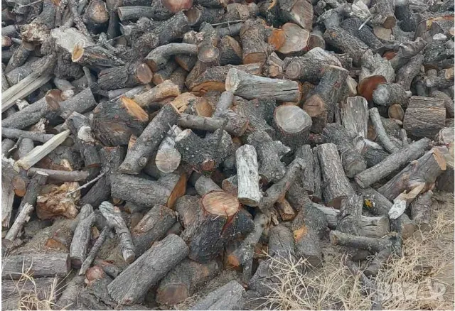 Дърва за огрев