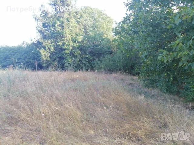 Всякакви градинарски услуги - Варна и областта, снимка 6 - Други услуги - 48232407