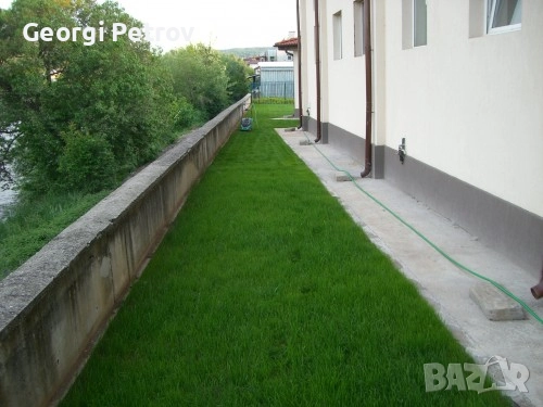 Био Тор за трева - райграс (50л - 12лв), снимка 2 - Тор и почвени смеси - 52102223