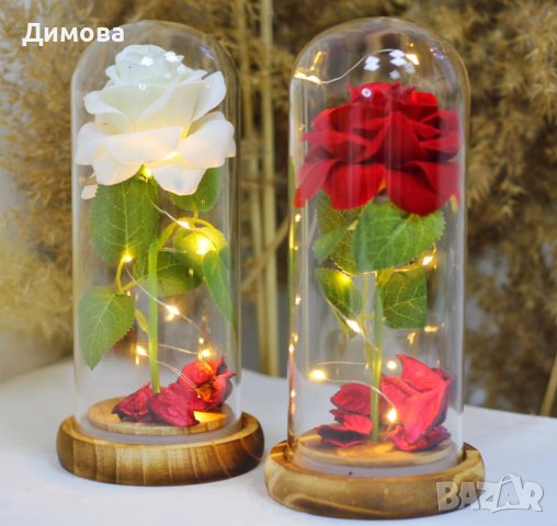 Вечна роза и Вечна роза с мече, снимка 3 - Други стоки за дома - 43885864