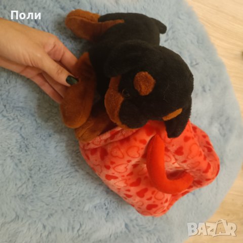 Кученце в чанта 