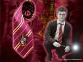 Вратовръзка на Хари Потър от Грифиндор / Harry Potter tie Griffindor, снимка 2