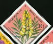  Сет 7 марки Цветята на Монголия,Монголия, 1979, ново, минт, снимка 5