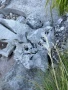 Камъни за алпинеум, снимка 2