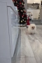 Померан момче , снимка 4