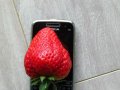 100 гигантски ягодови семена от плод ягода ягоди органични плодови ягодови семена от вкусни ягоди от, снимка 6