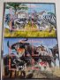 Пощенски марки  чиста комплектна серия ЖИВОТНИ поща Република Чад за колекция 29538, снимка 1 - Филателия - 37780459