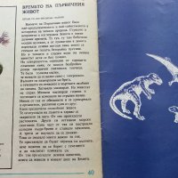 Палеонтология в картинки - И.Яковлева - 1984г. , снимка 7 - Детски книжки - 38938213