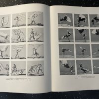 Книга уникат “Le Palio de Sienne” за конните състезания в Сиена, снимка 4 - Художествена литература - 43399326