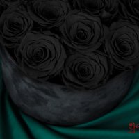 Истински Черни Вечни Рози в Черна Кадифена Кутия / Оригинален Подарък за Необикновена Жена, снимка 1 - Подаръци за жени - 43750459