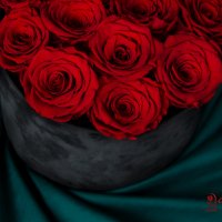 Естествени Вечни Рози в Кутия Кадифе / Уникален Подарък за Рожден Ден на Жена / Червени Вечни Рози, снимка 3 - Подаръци за жени - 43750368