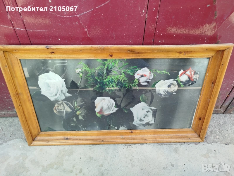 картина бели рози, снимка 1