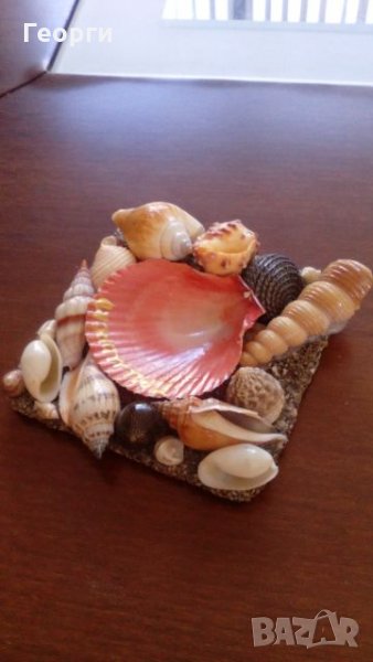 Морски сувенир от мидички, снимка 1