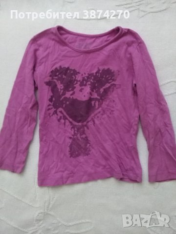 Лот дрехи за момиченце от 2 до 4 години, снимка 8 - Детски Блузи и туники - 43570905