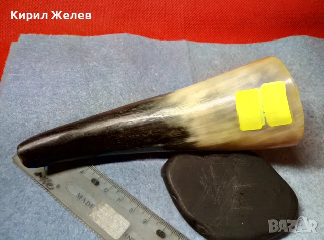 Стар БИВОЛСКИ РОГ РЪЧНО ГРАВИРАН с ПАЛМИ За КОЛЕКЦИЯ ДЕКОРАЦИЯ ДОМАШНА УКРАСА 47836, снимка 6 - Колекции - 47971872