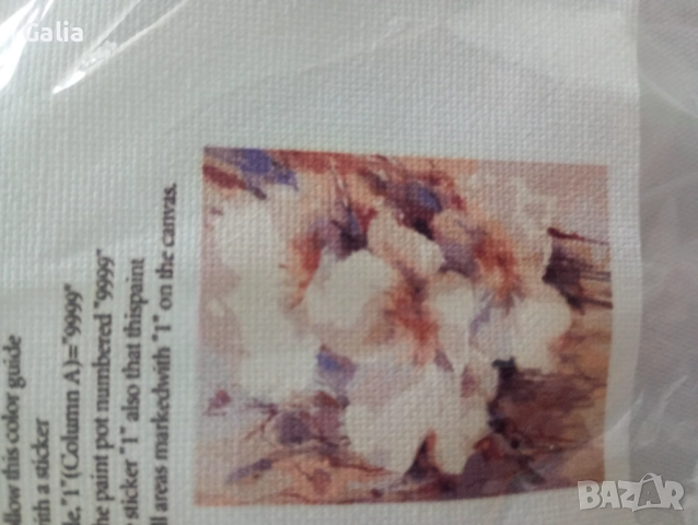 Платно за оцветяване по номера, снимка 3 - Пана - 52987044